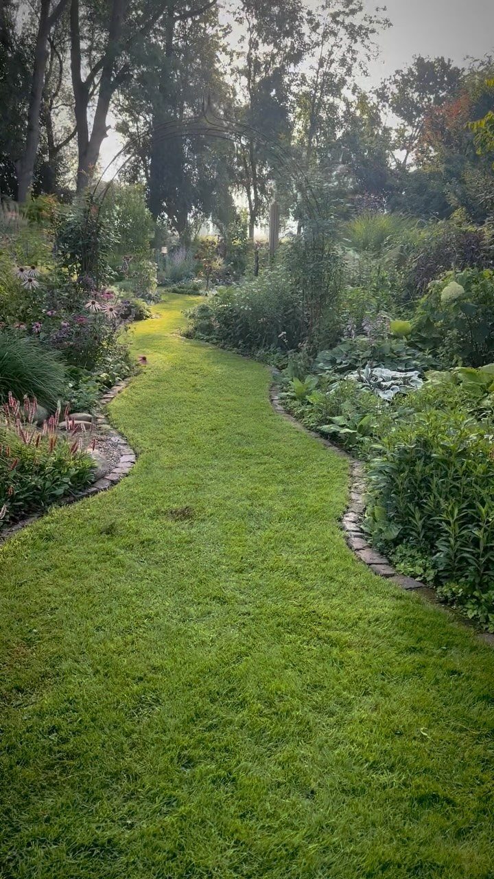 A winding grass path curves through a lush garden filled with dense greenery and tall trees.