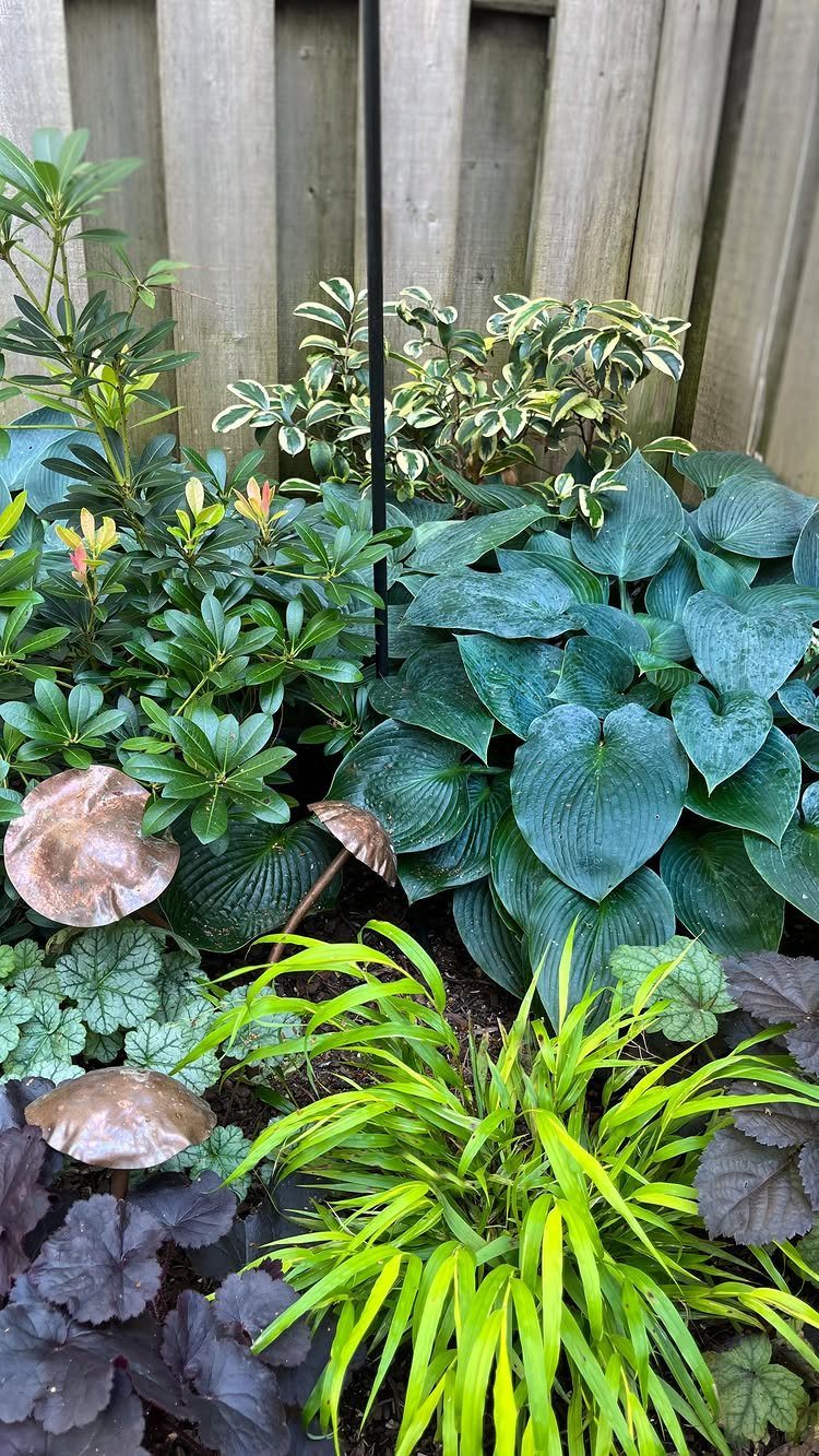 Various shade-loving plants including hostas and colorful foliage arranged in a garden bed against a fence.