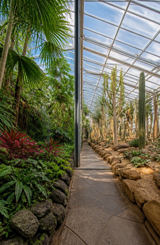Split glasshouse at Cleveland Botanical Garden showing rainforest and desert environments.