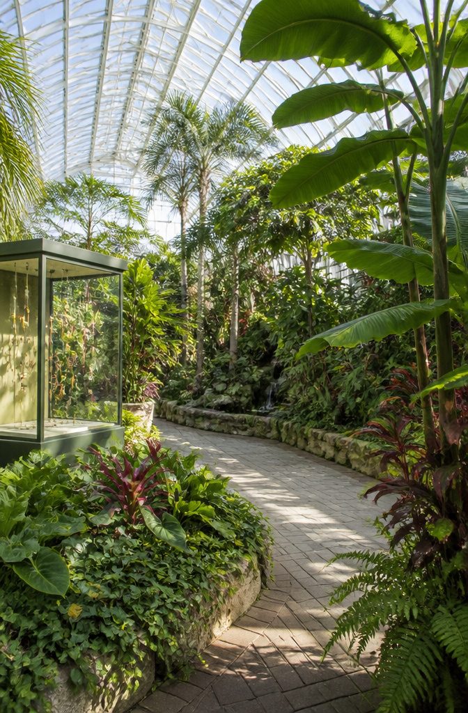 Butterfly atrium at Hershey Gardens with tropical plants and butterflies.