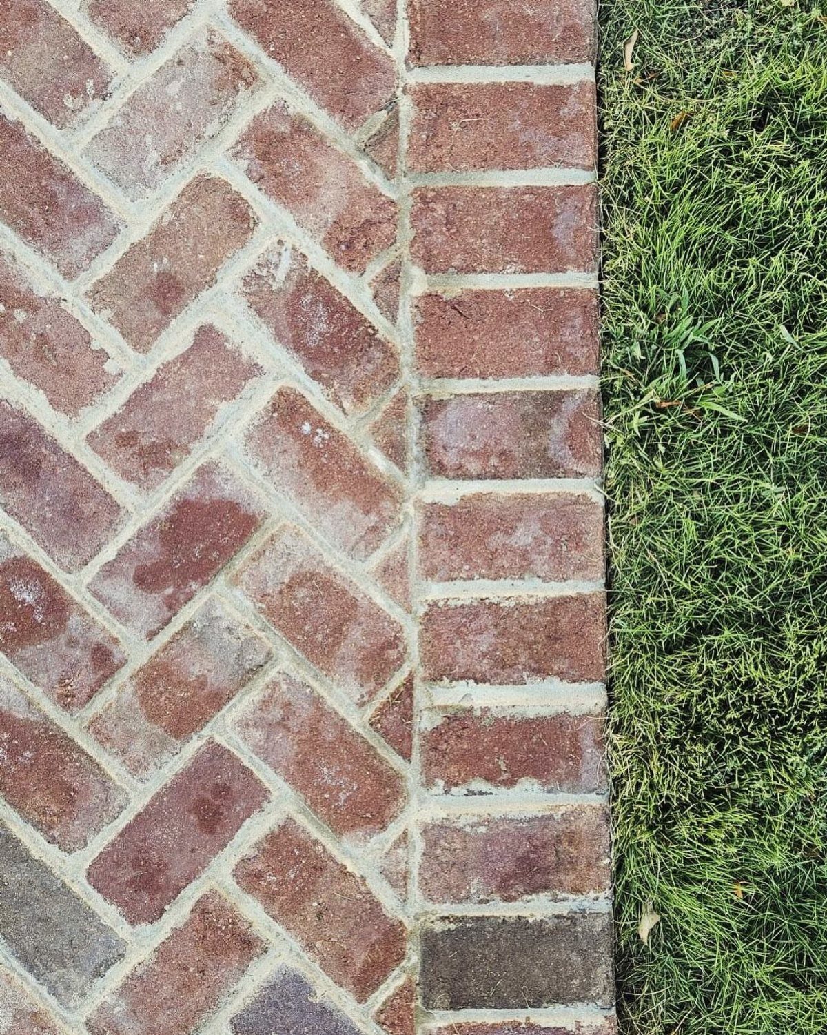 Red bricks laid in a herringbone pattern next to a straight brick border and green grass.