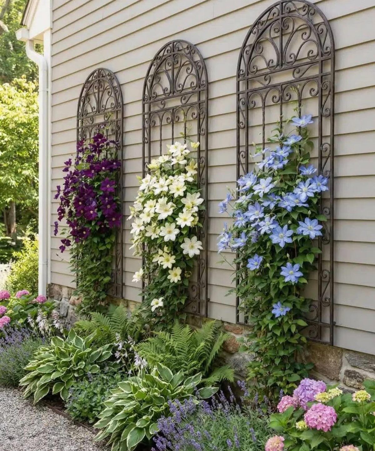 Three arched metal trellises with purple, white, and blue climbing clematis flowers against a house wall.