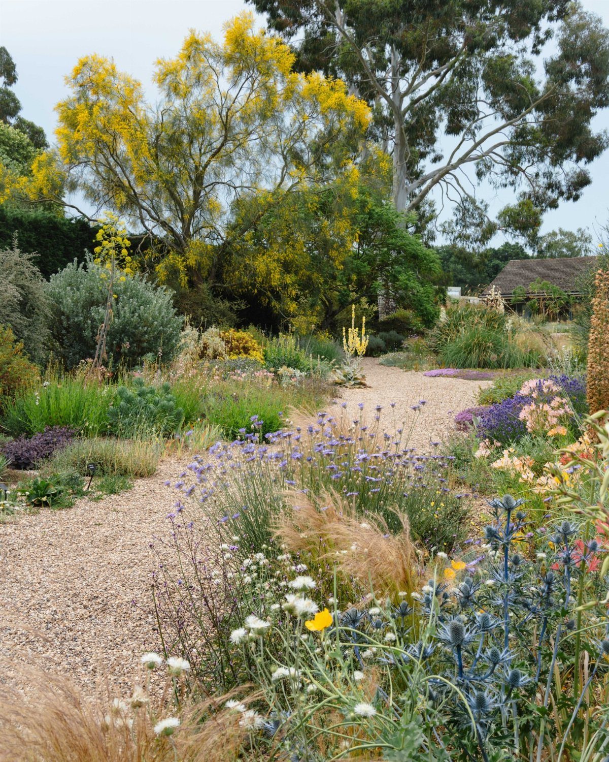 A gravel path winding through a diverse garden with colorful flowers and large yellow trees.