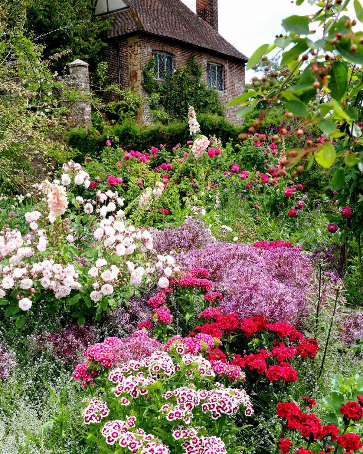 Colorful flowering plants in a lush garden with a brick cottage in the background.