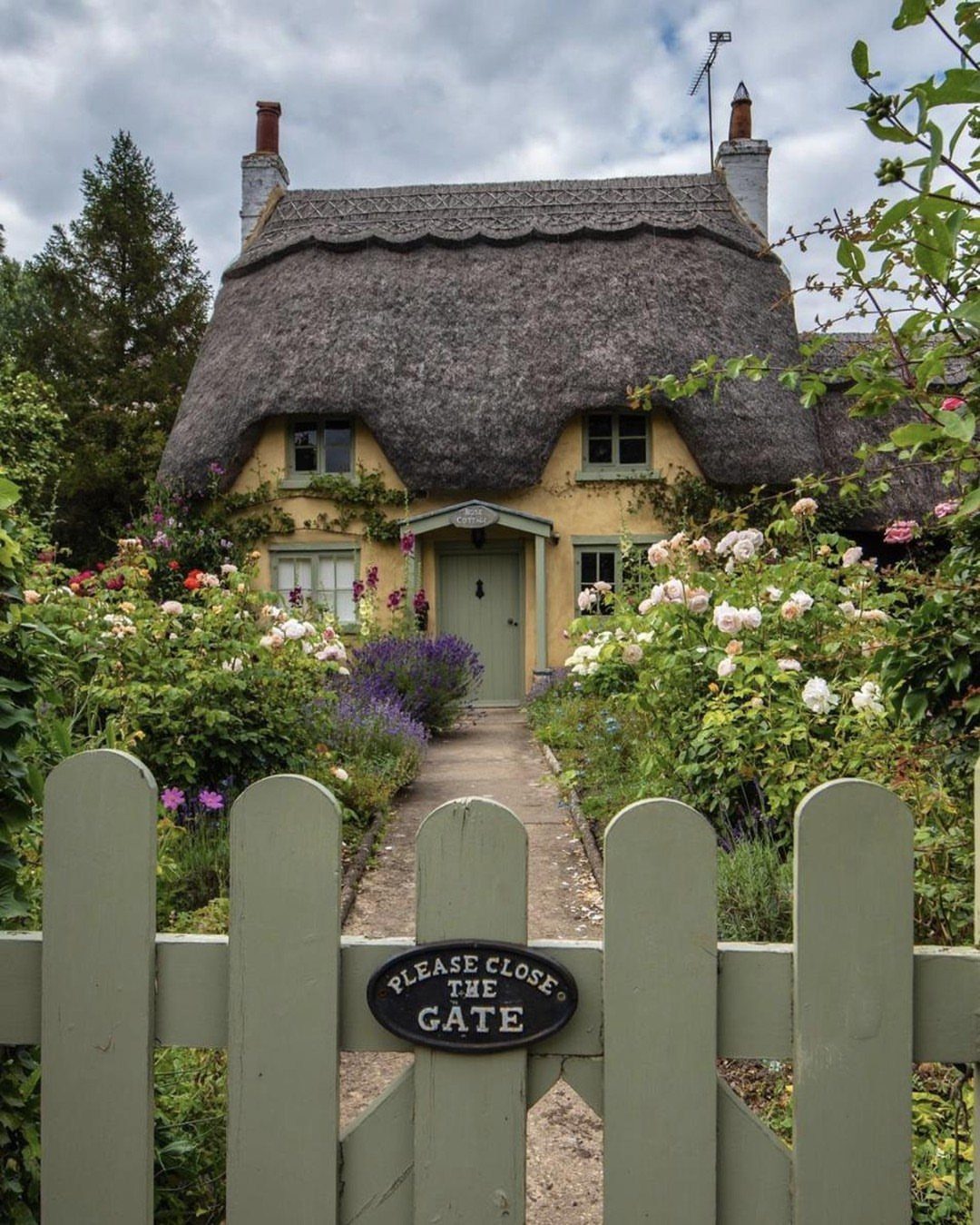 A thatched cottage with a green picket fence and a stone path through rose bushes.
