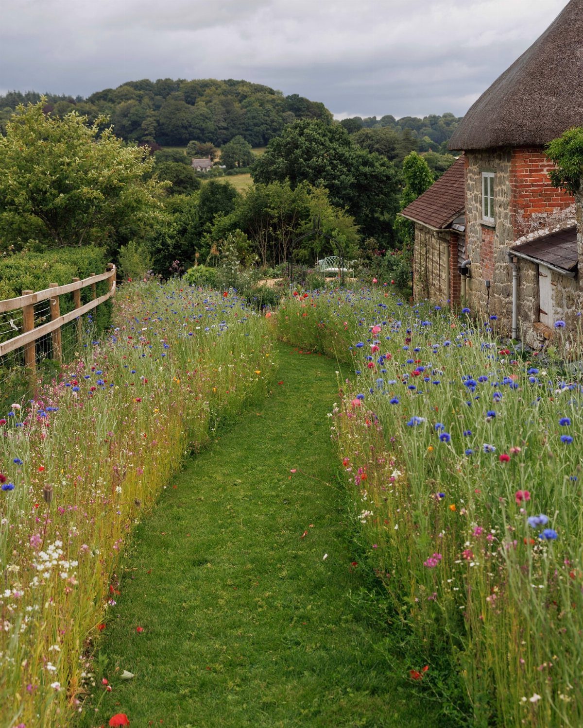 A mown grass path winding through a vibrant field of wildflowers next to a cottage.