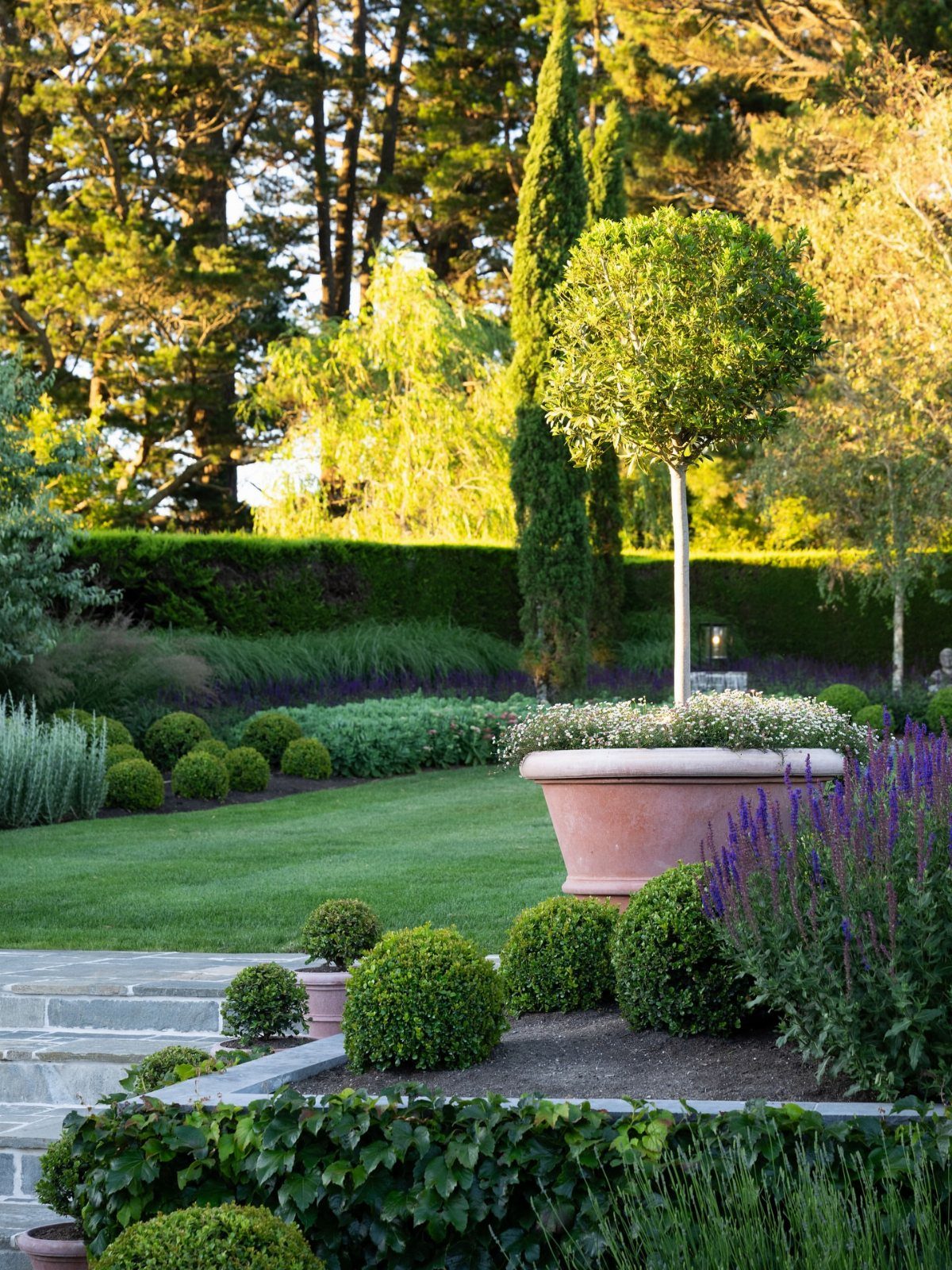 A manicured garden lawn with a large terracotta planter containing a single topiary tree.