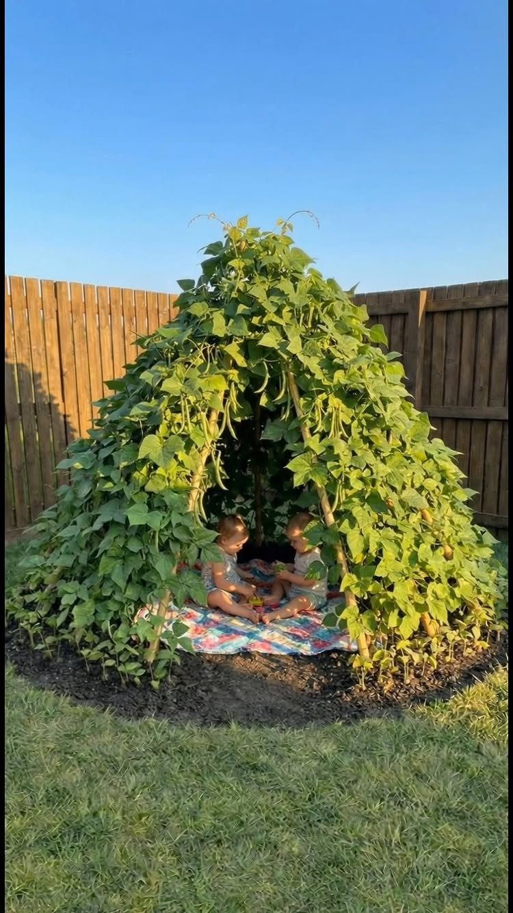 Two children sitting inside a large teepee made of climbing green bean plants.