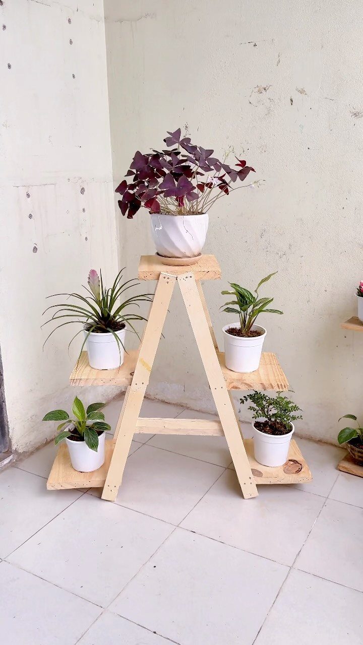 DIY Plant Stand Indoor: 5 Ideas With Driftwood, Ladders and Tiered Wood 4 A wooden A-frame plant stand holding four potted plants against a light wall.