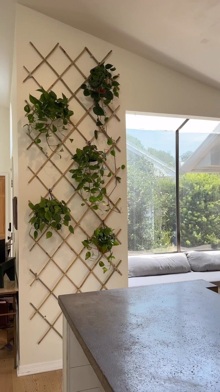 DIY Plant Trellis Indoor: 8 Ideas Using Wood, Rope and Wire 5 A wooden lattice trellis mounted on a white wall holding several green potted plants.