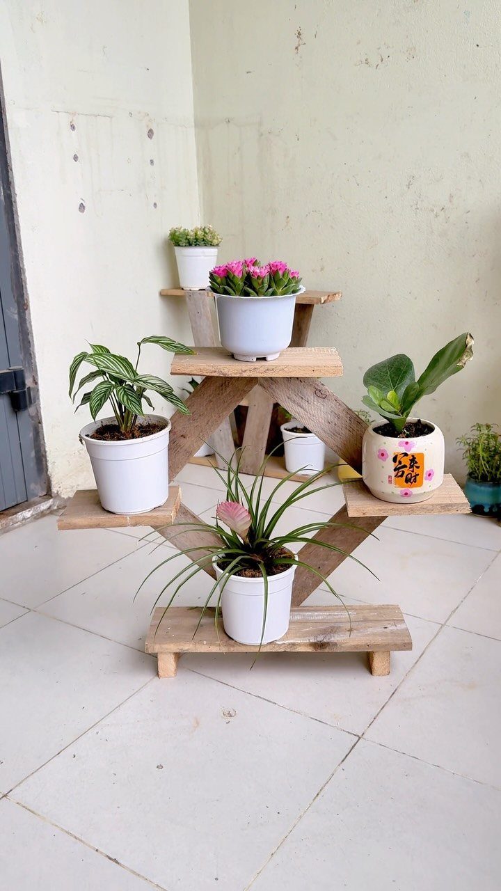 DIY Plants and Decor: 6 Home Projects Worth Making 3 A multi-tiered wooden plant stand holding several white potted plants on a tiled floor.