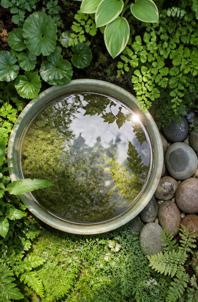 A ceramic dish filled with still water reflecting the surroundings.