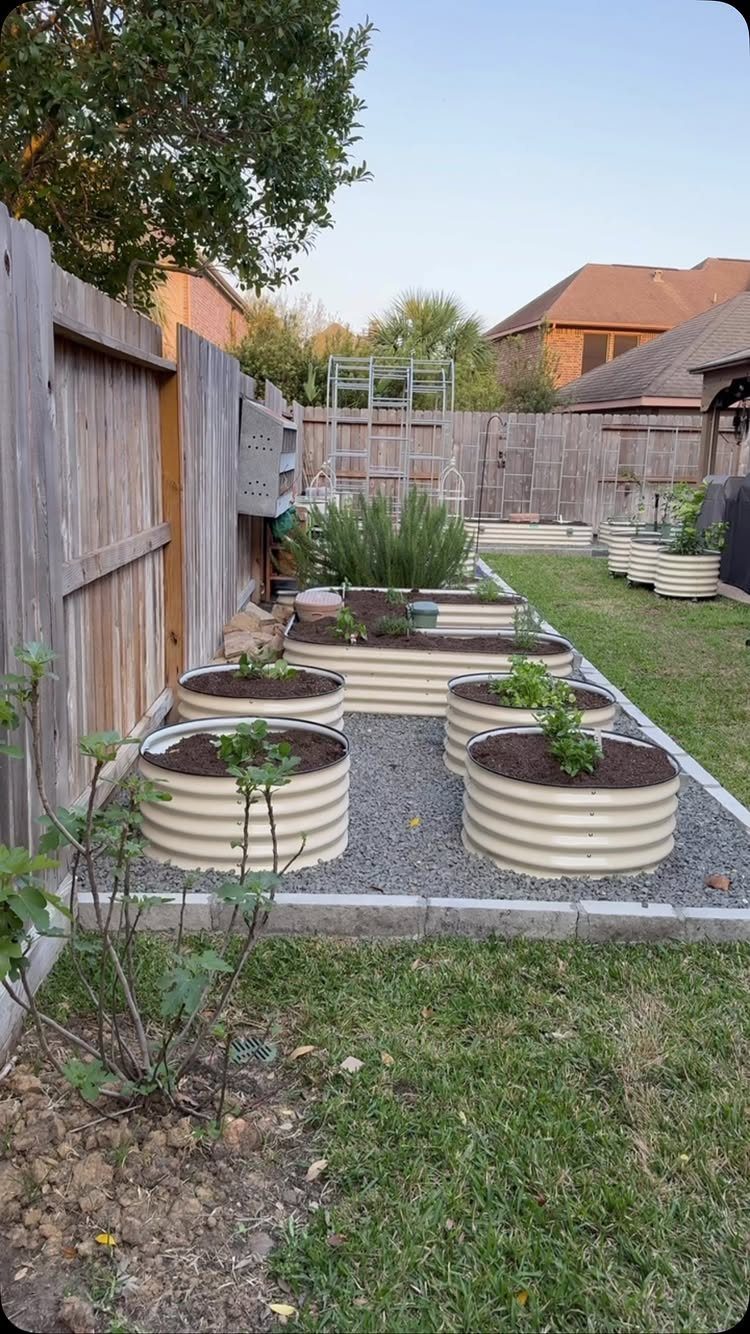 11 Dream Garden Vegetable Ideas for Every Space 1 Round corrugated metal raised garden beds filled with soil and small plants on a gravel path.