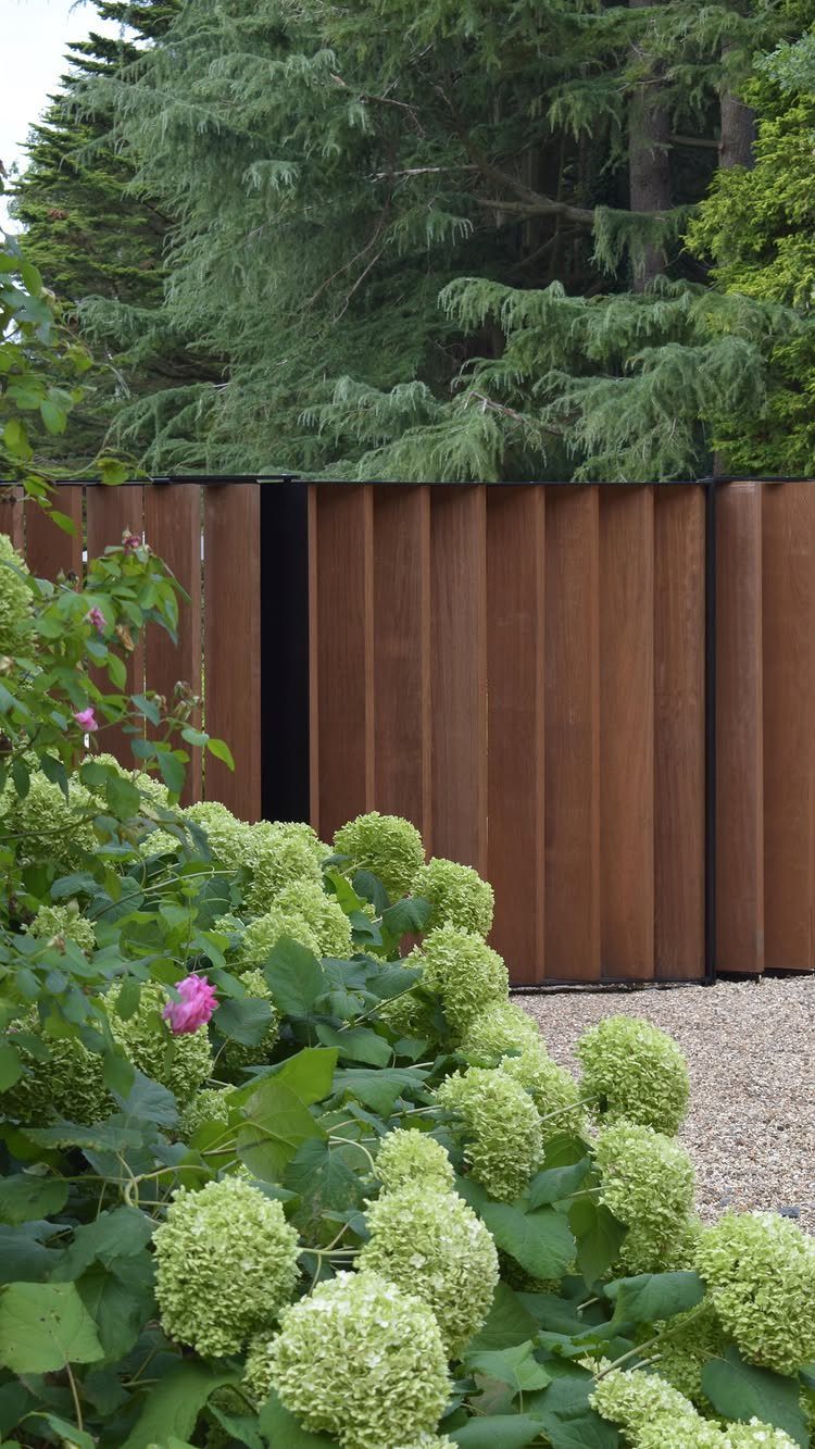13 Estate Garden Design Ideas With Photos and Planning Tips 1 A vertical wooden privacy fence behind blooming green hydrangea bushes and tall evergreen trees.