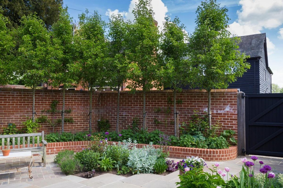 13 Estate Garden Design Ideas With Photos and Planning Tips 2 Tall green trees planted in a row behind a red brick garden wall.