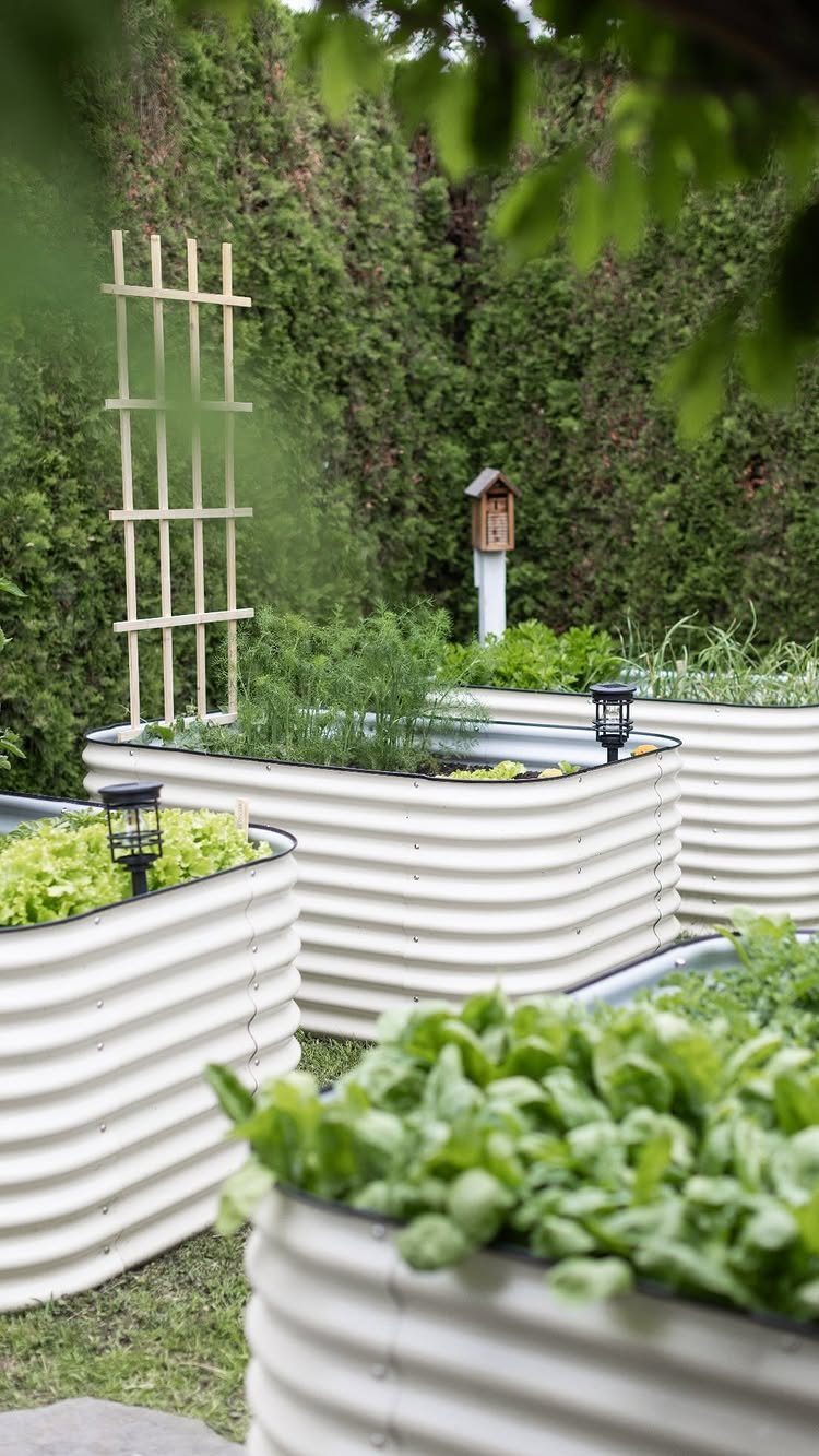 13 Estate Garden Design Ideas With Photos and Planning Tips 3 White corrugated metal raised garden beds filled with various green leafy plants and herbs.