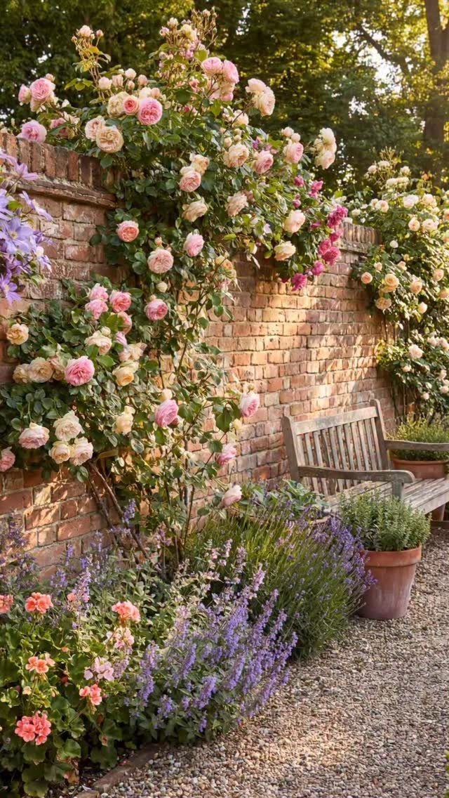 13 Estate Garden Design Ideas With Photos and Planning Tips 5 Climbing roses and lavender plants growing against a weathered reclaimed brick garden wall.