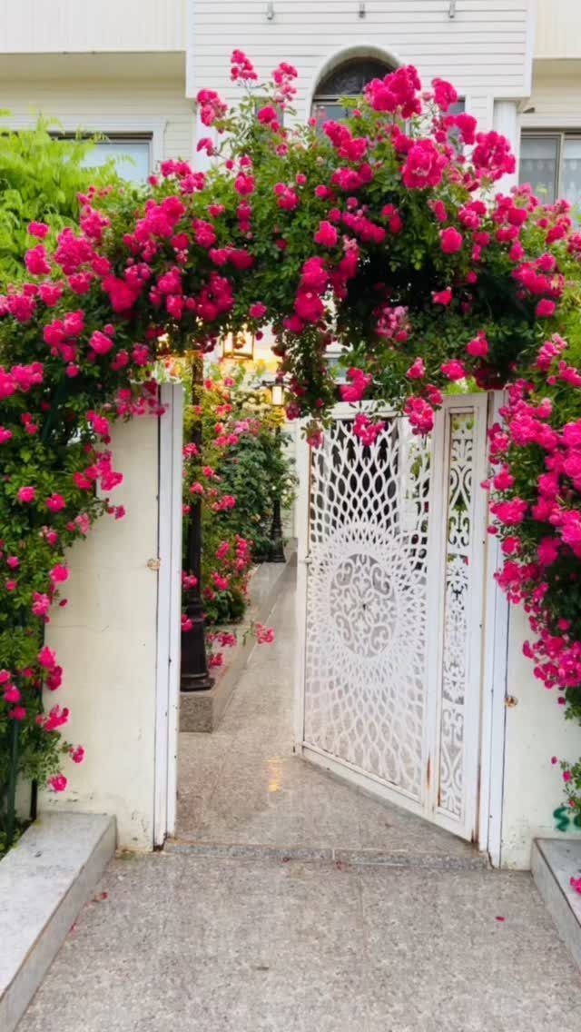 13 Estate Garden Design Ideas With Photos and Planning Tips 10 Pink climbing roses arch over a white ornate metal gate and stone pathway.