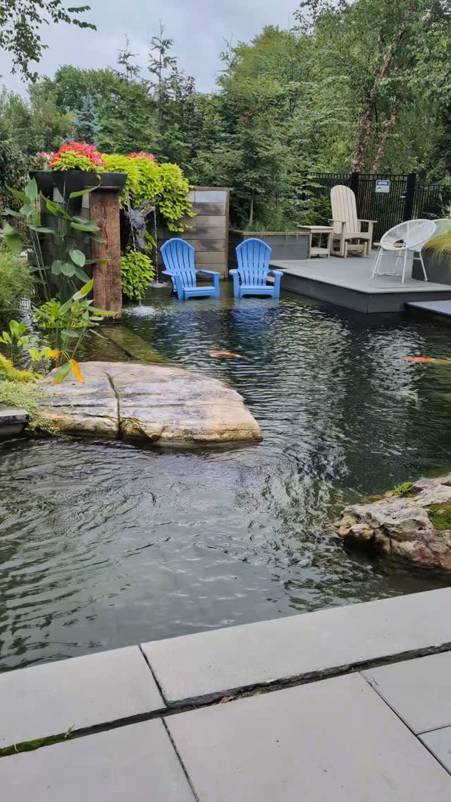 13 Estate Garden Design Ideas With Photos and Planning Tips 7 A large backyard koi pond with orange fish, large rocks, and blue chairs on a deck.
