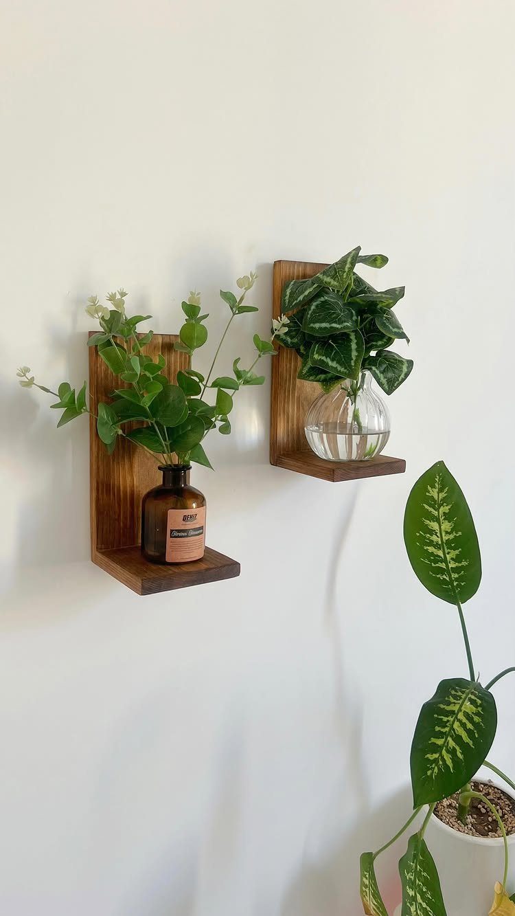 Two wooden floating shelves on a white wall holding green plants in glass vases.
